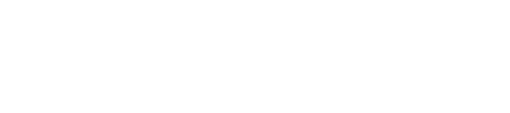 Logo Helinext